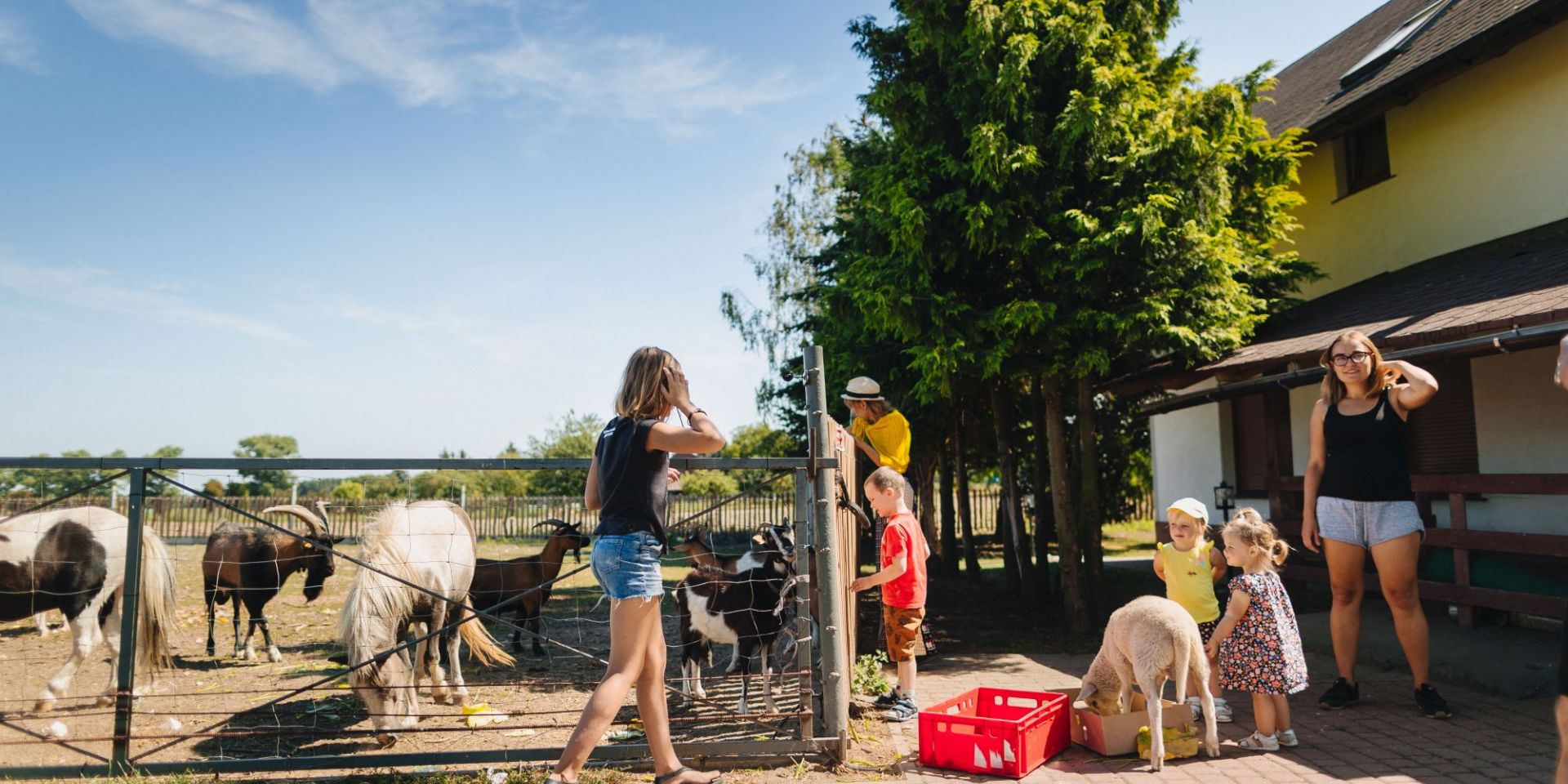 Zwierzęta|Krótki spacer po ogrodowych alejkach dzieli plac zabaw od zagrody edukacyjnej ze zwierzętami — kucami, kozami i owcami.